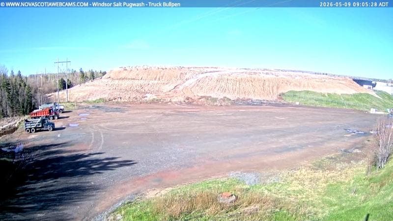 Windsor Salt