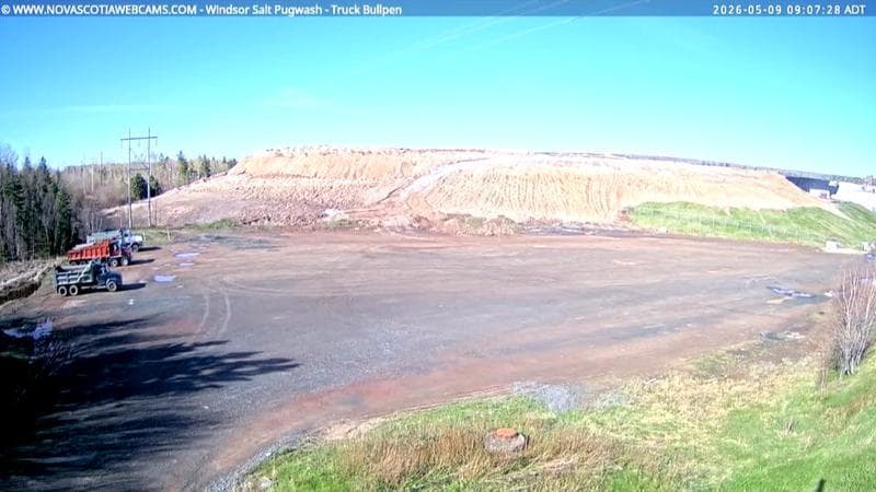 Windsor Salt