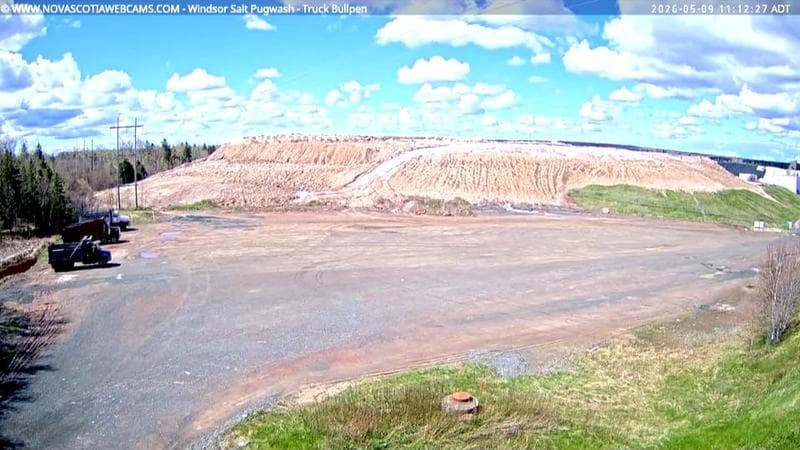 Windsor Salt