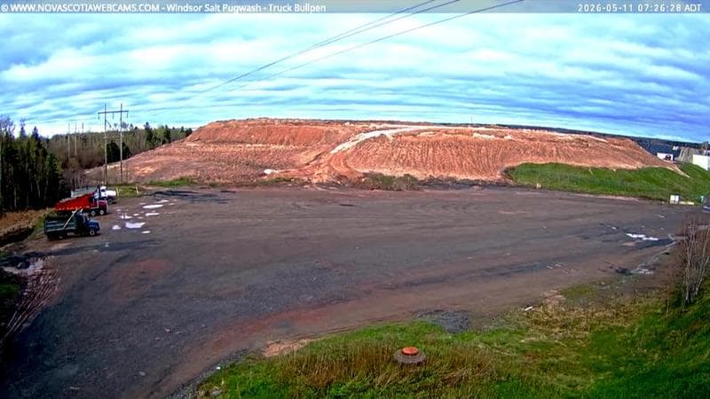 Windsor Salt