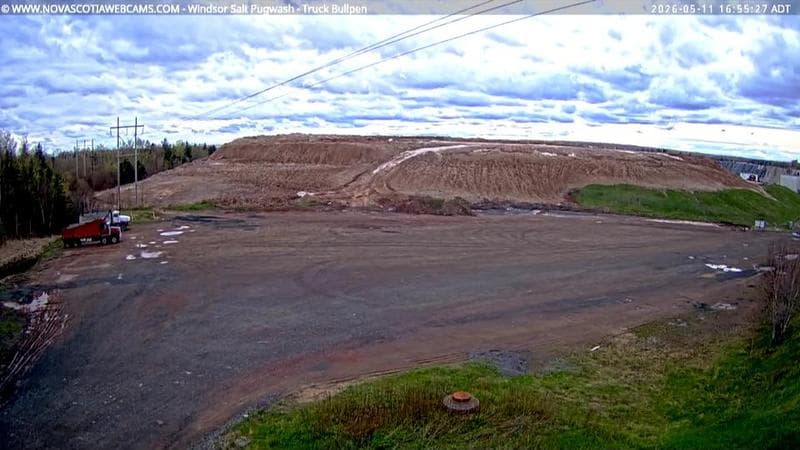 Windsor Salt