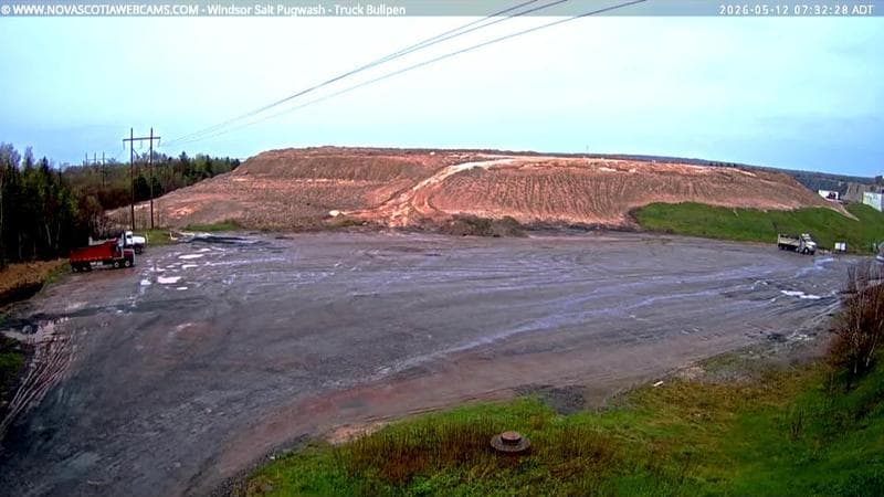 Windsor Salt