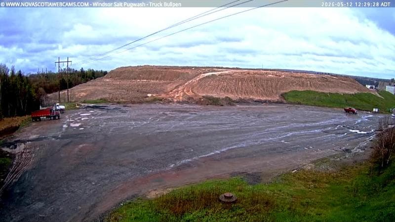 Windsor Salt