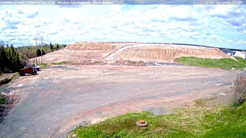 Windsor Salt