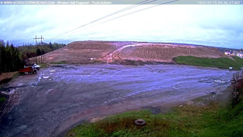 Windsor Salt