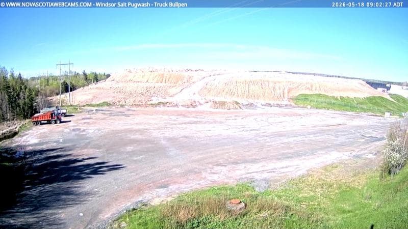 Windsor Salt