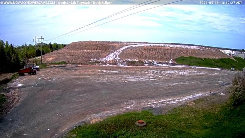 Windsor Salt