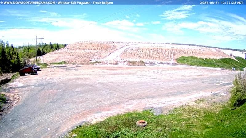 Windsor Salt