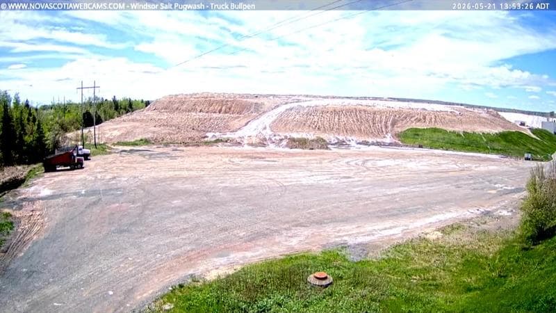 Windsor Salt