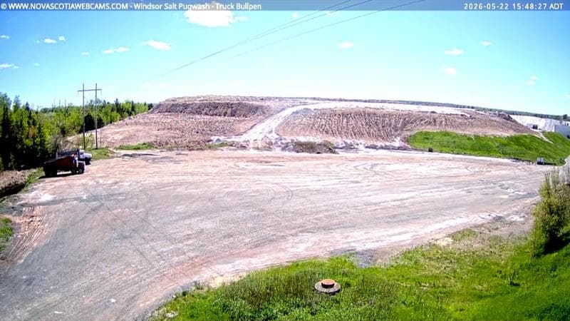 Windsor Salt