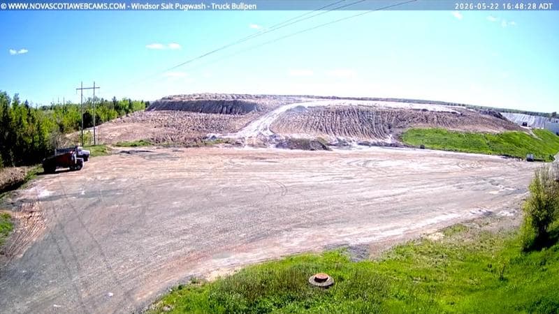 Windsor Salt