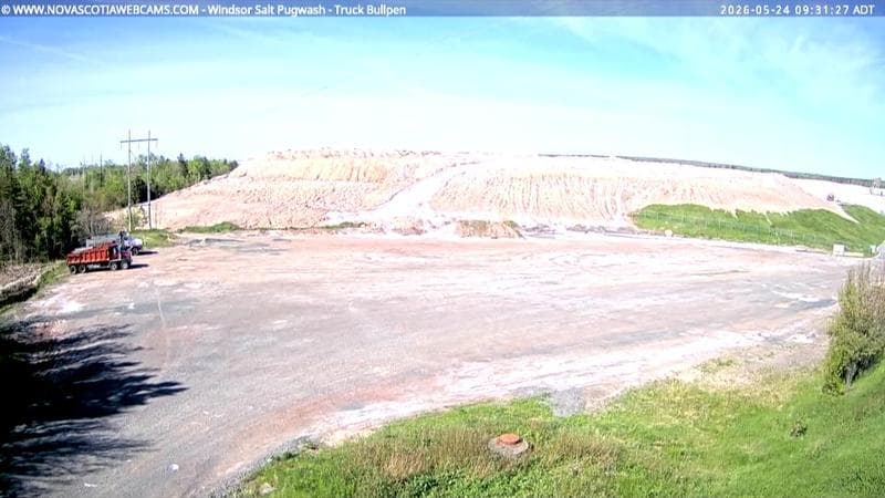 Windsor Salt