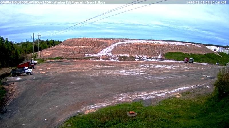 Windsor Salt