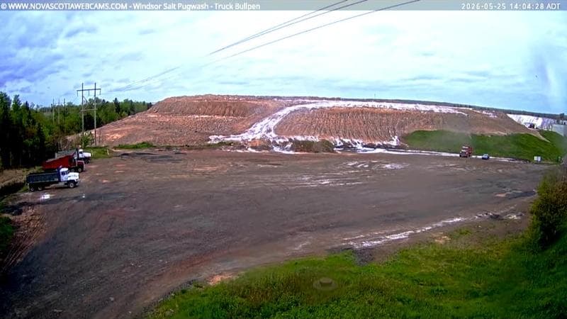 Windsor Salt