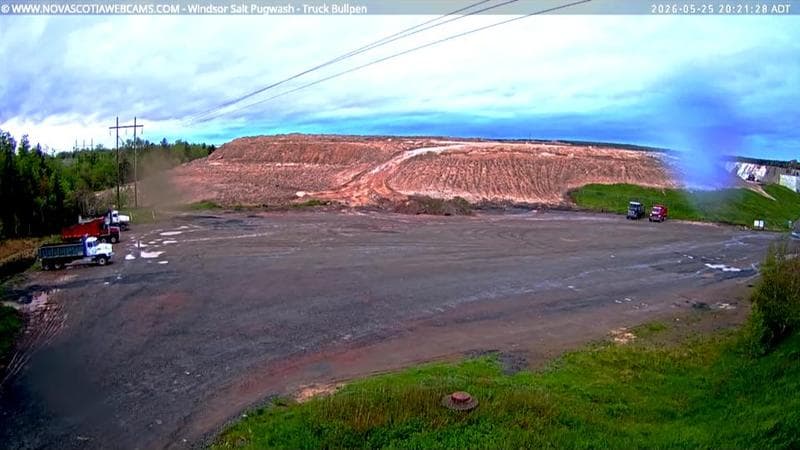 Windsor Salt