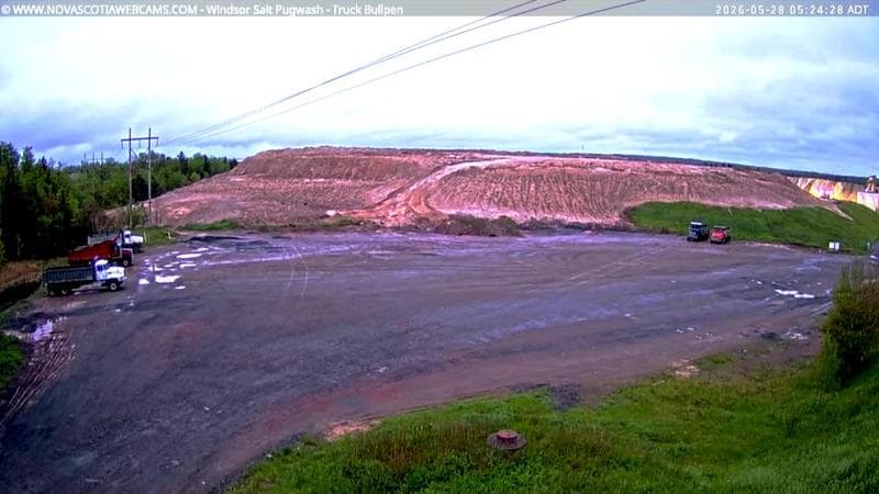 Windsor Salt