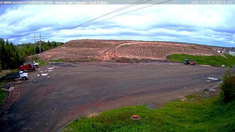 Windsor Salt