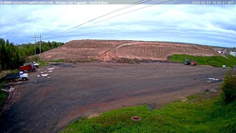 Windsor Salt