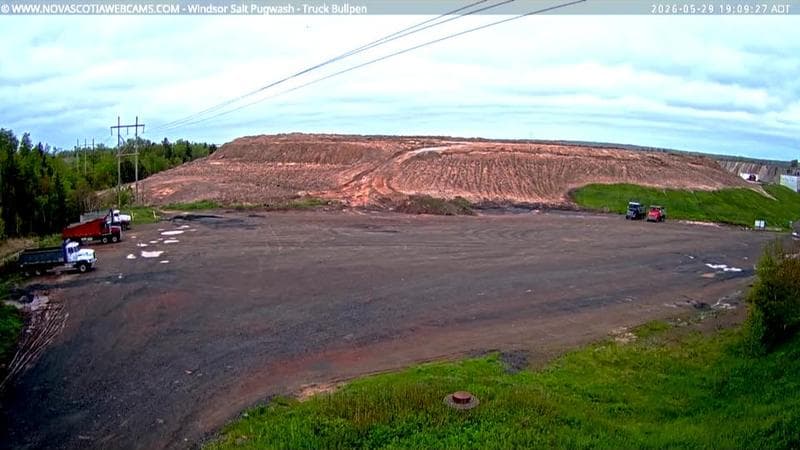 Windsor Salt