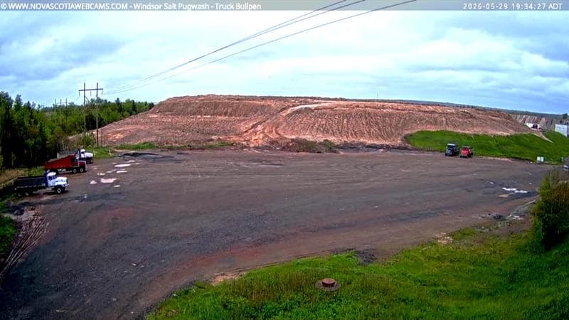 Windsor Salt