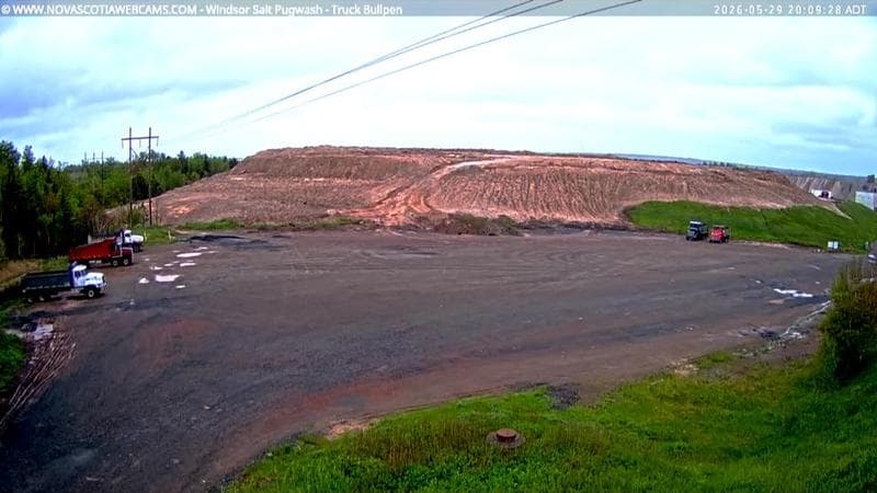Windsor Salt