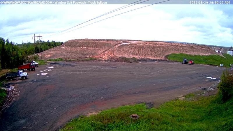 Windsor Salt
