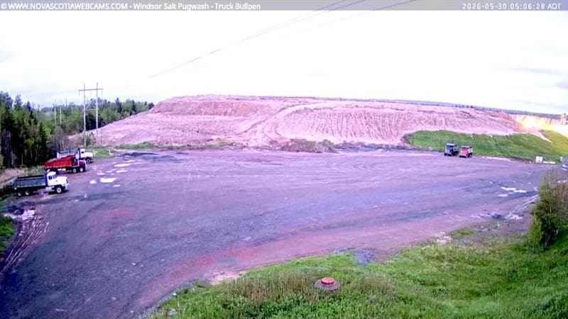 Windsor Salt