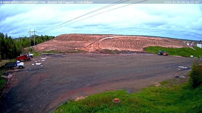 Windsor Salt