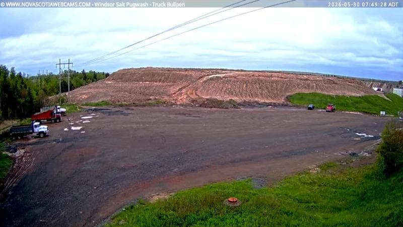 Windsor Salt