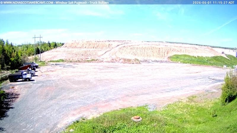 Windsor Salt