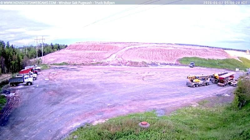 Windsor Salt