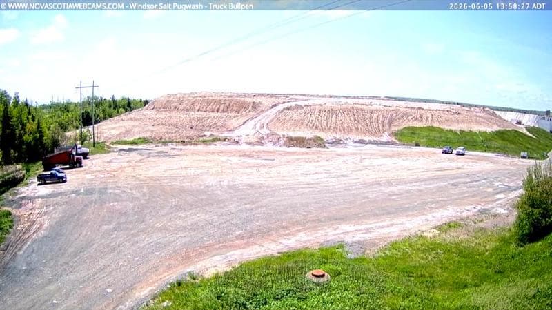 Windsor Salt