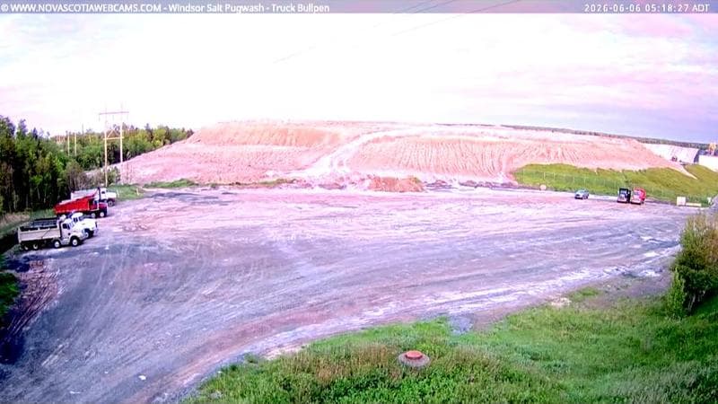 Windsor Salt