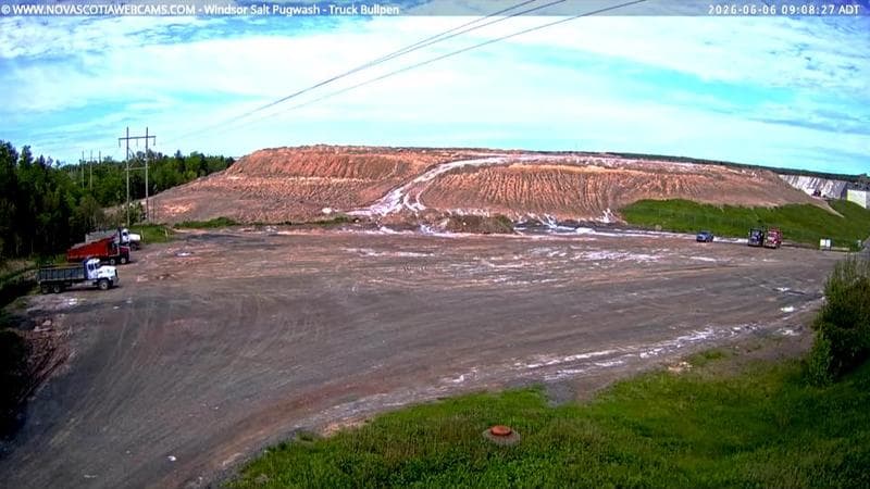 Windsor Salt