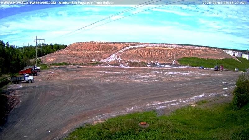 Windsor Salt