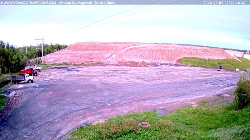 Windsor Salt