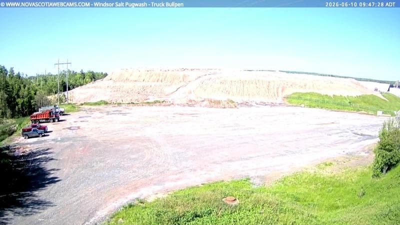 Windsor Salt