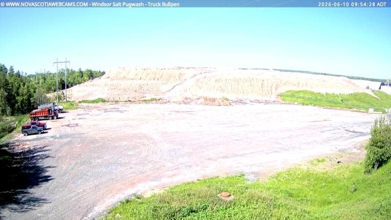 Windsor Salt