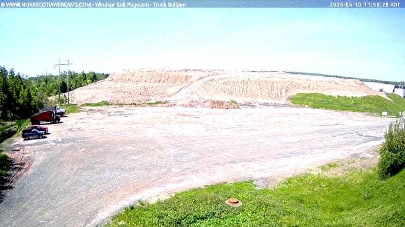 Windsor Salt