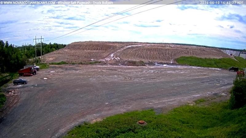 Windsor Salt