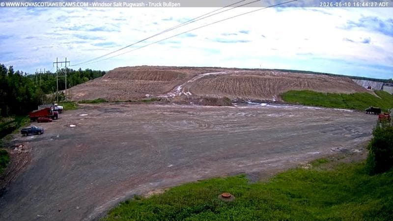 Windsor Salt