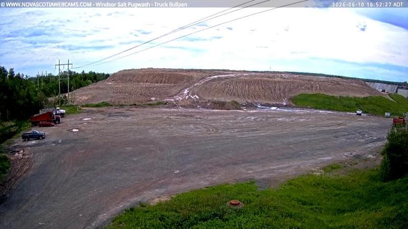 Windsor Salt