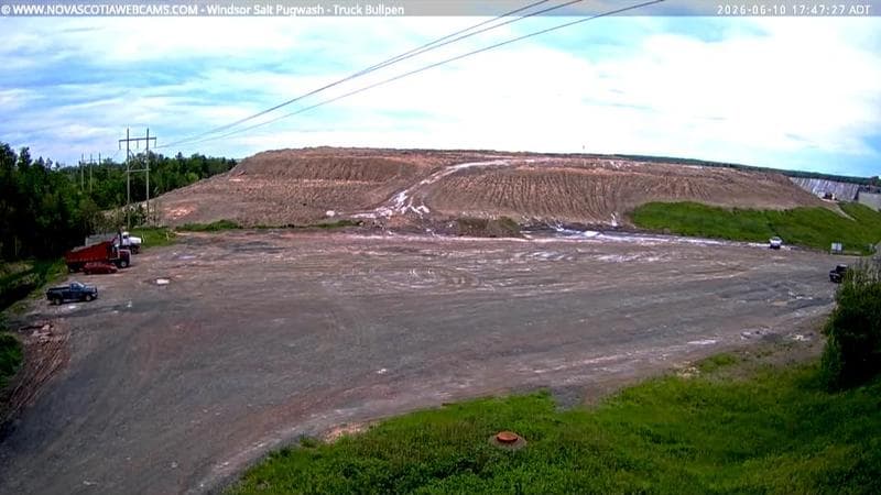 Windsor Salt