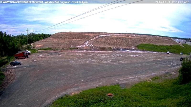 Windsor Salt