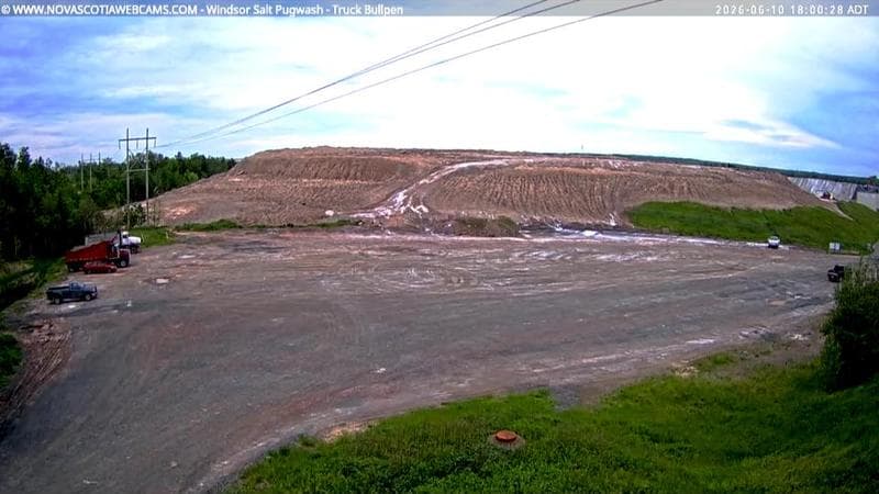 Windsor Salt