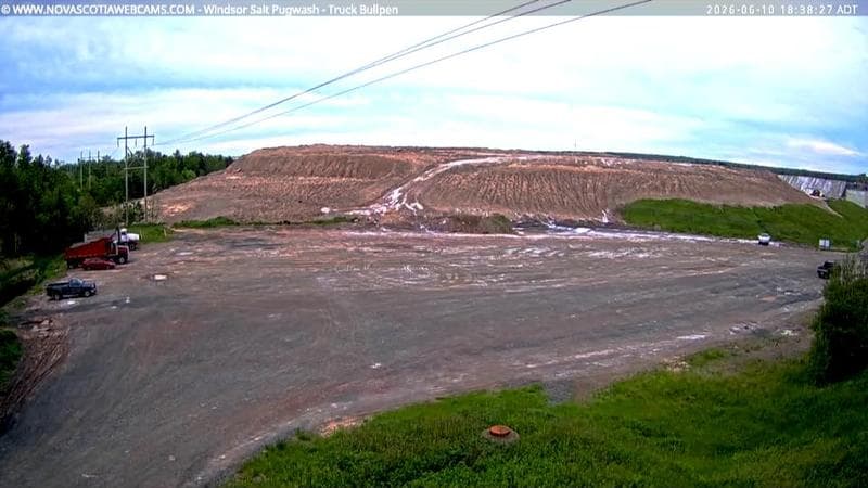 Windsor Salt