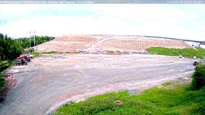 Windsor Salt