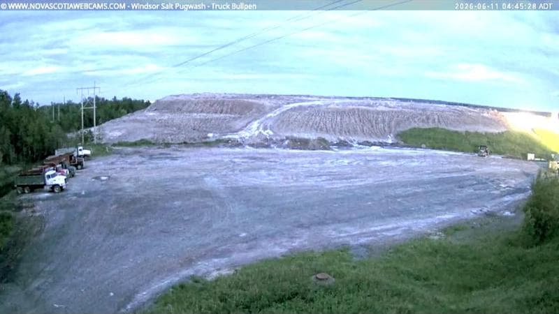 Windsor Salt