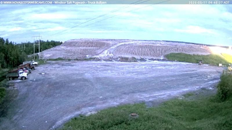 Windsor Salt