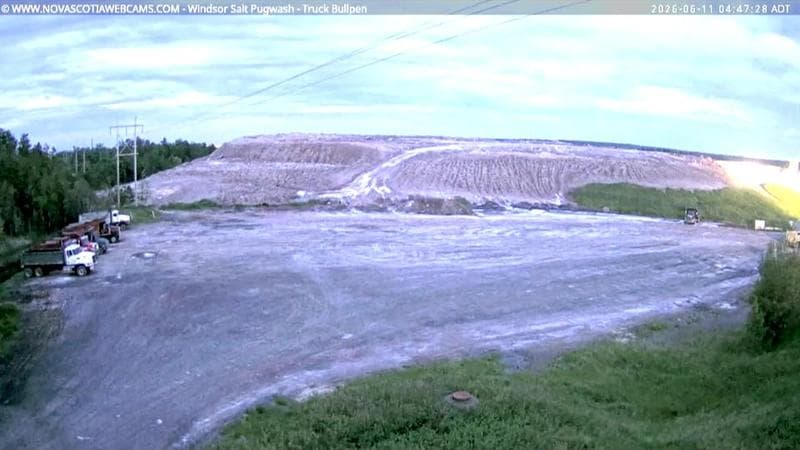 Windsor Salt